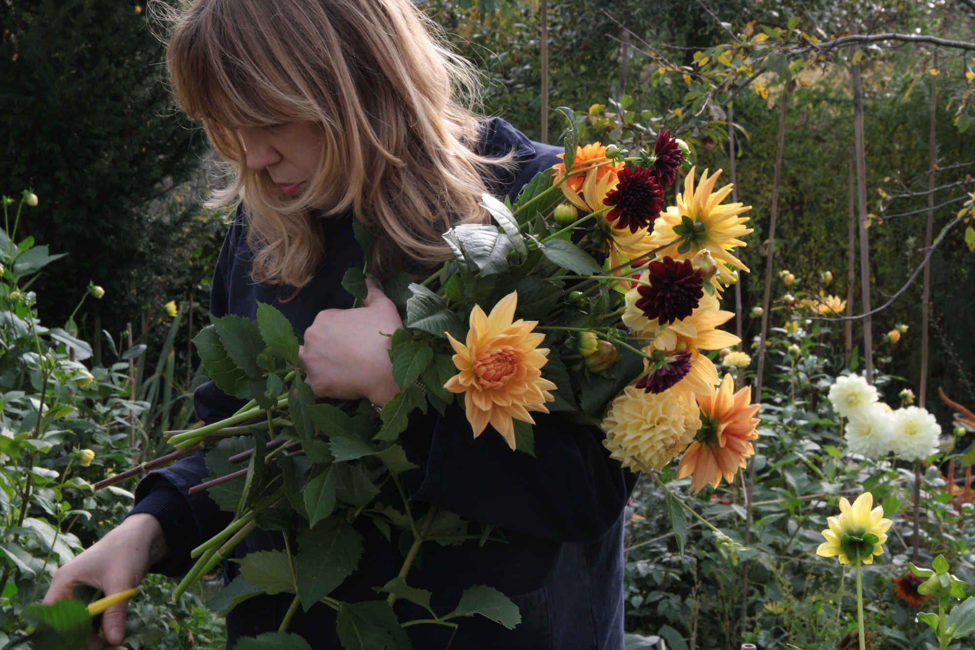 annasflowerfarm.com screenshot