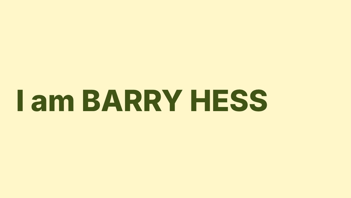 bjhess.com screenshot