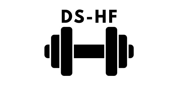 ds-hf.com screenshot