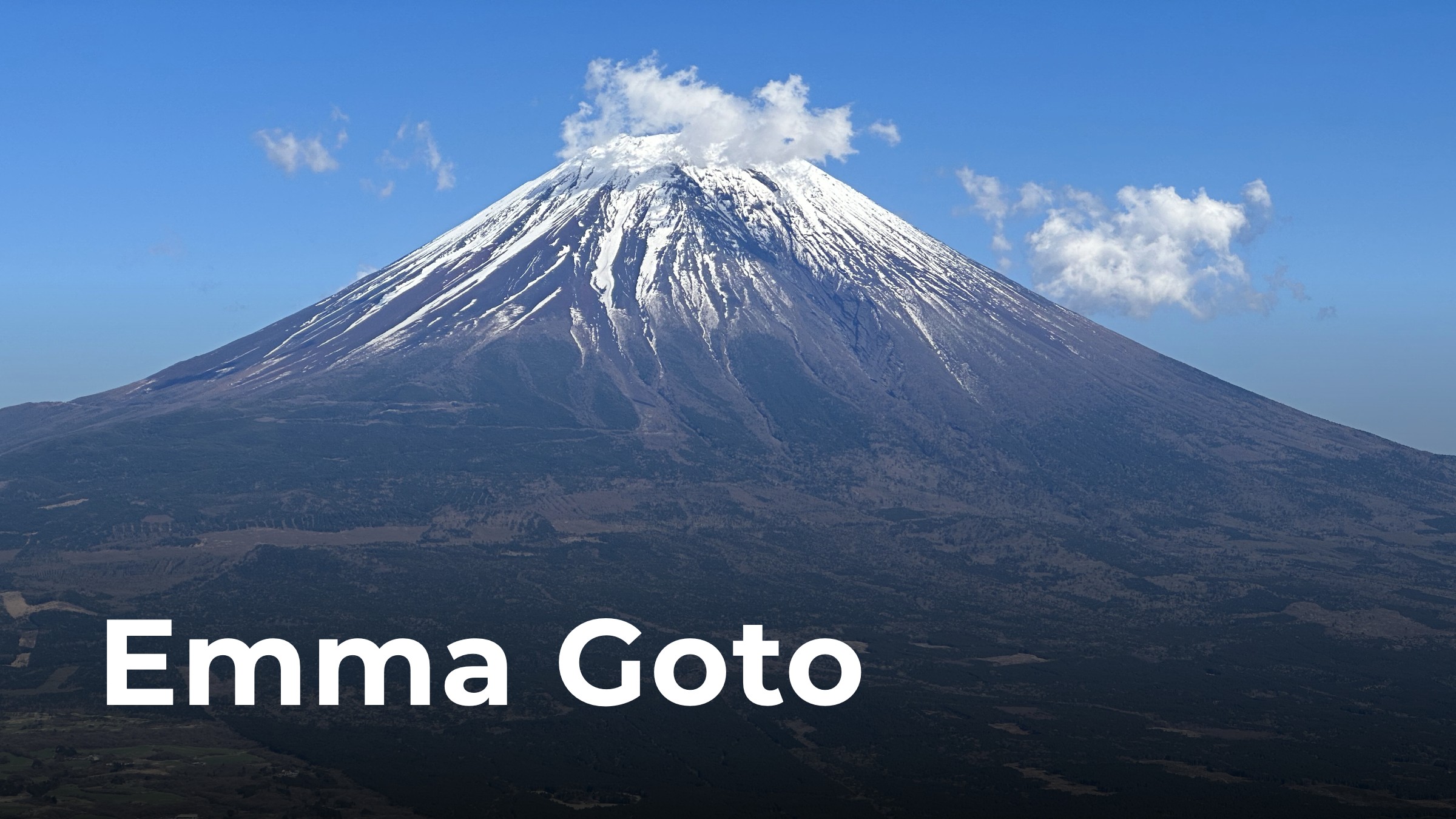 emgoto.com screenshot