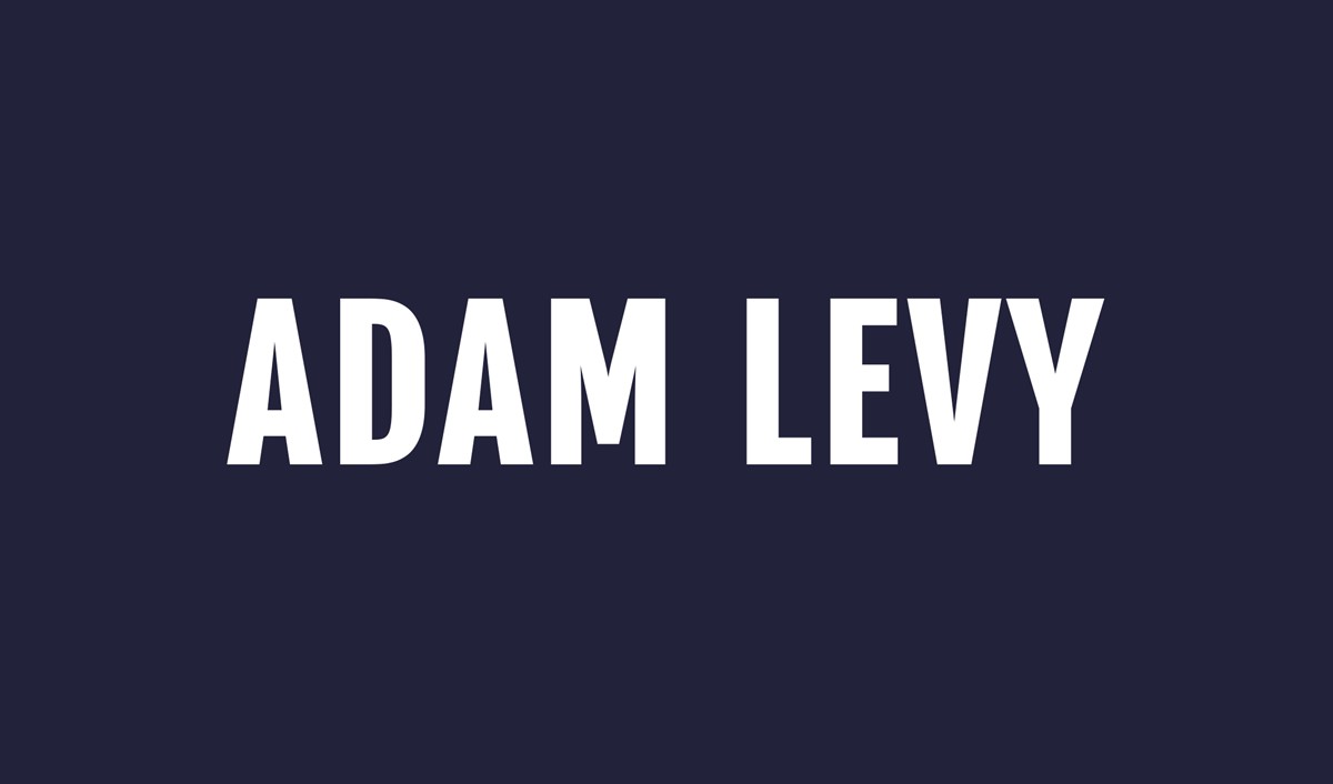 iamadamlevy.com screenshot