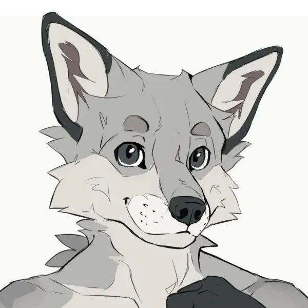shuthegreyfox.com screenshot