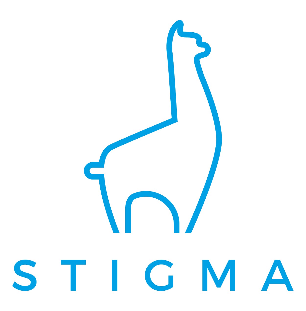 stigmamarketing.com screenshot