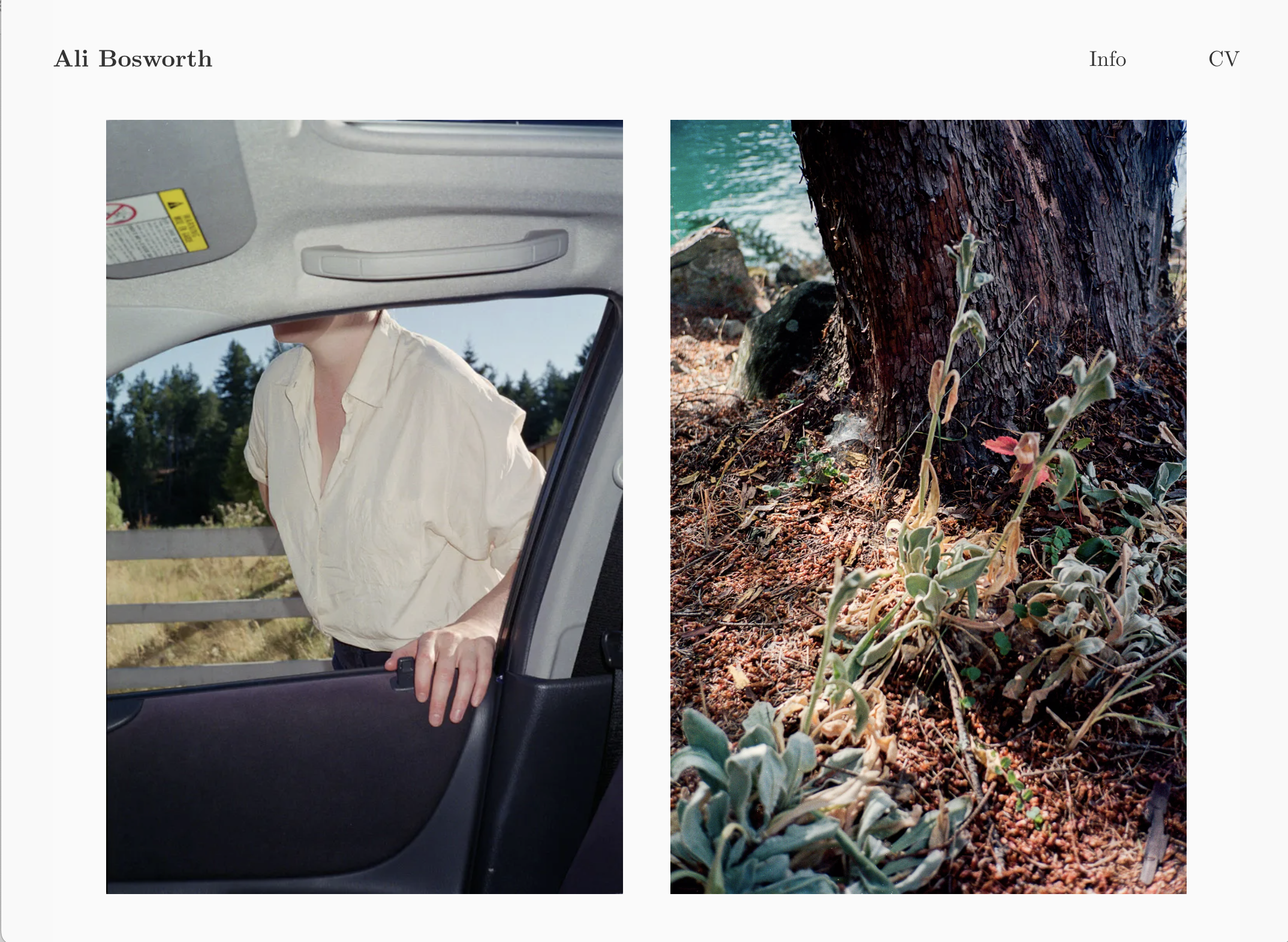 alibosworth.com screenshot