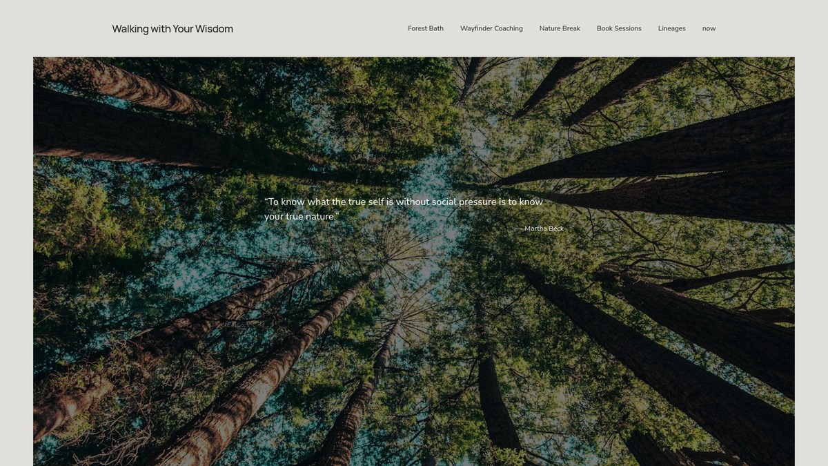 amyriske.ca screenshot