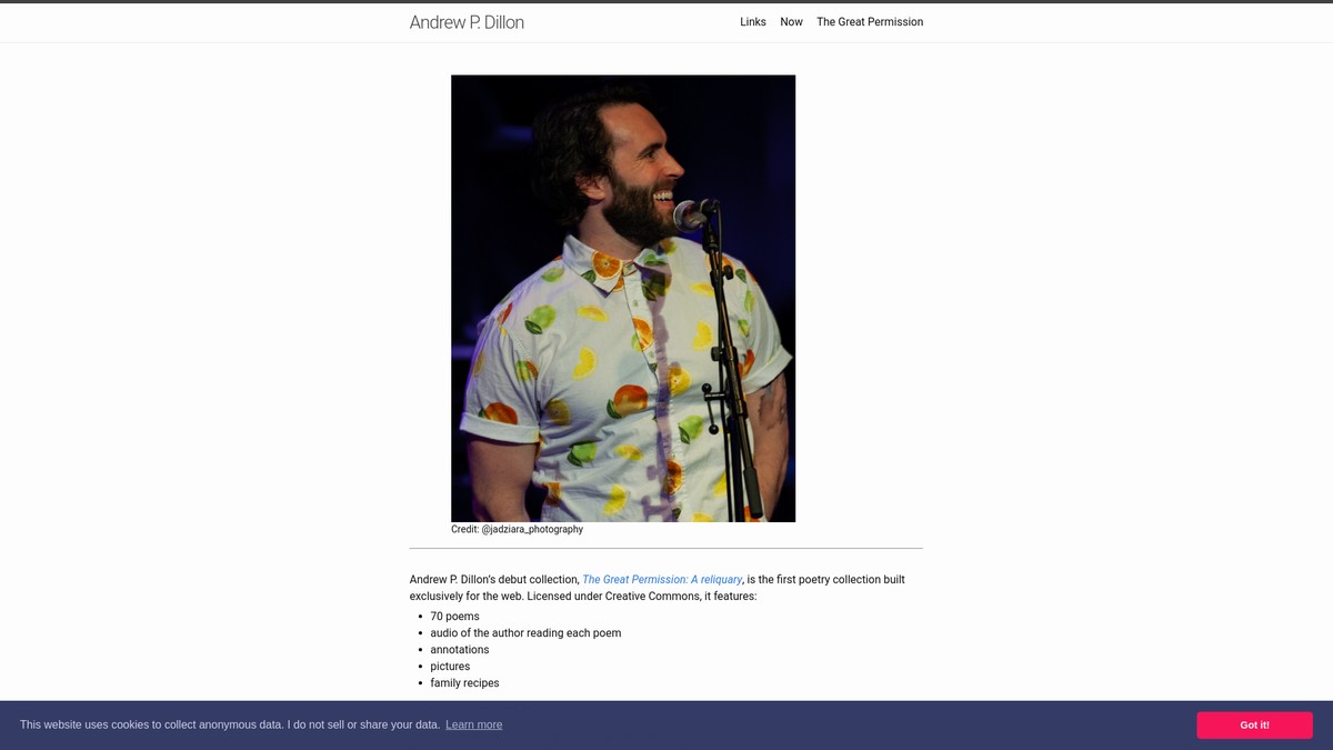 andrewdillonpoetry.com screenshot