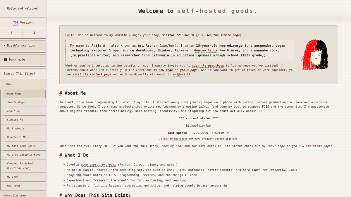 Screenshot of ari.lt
