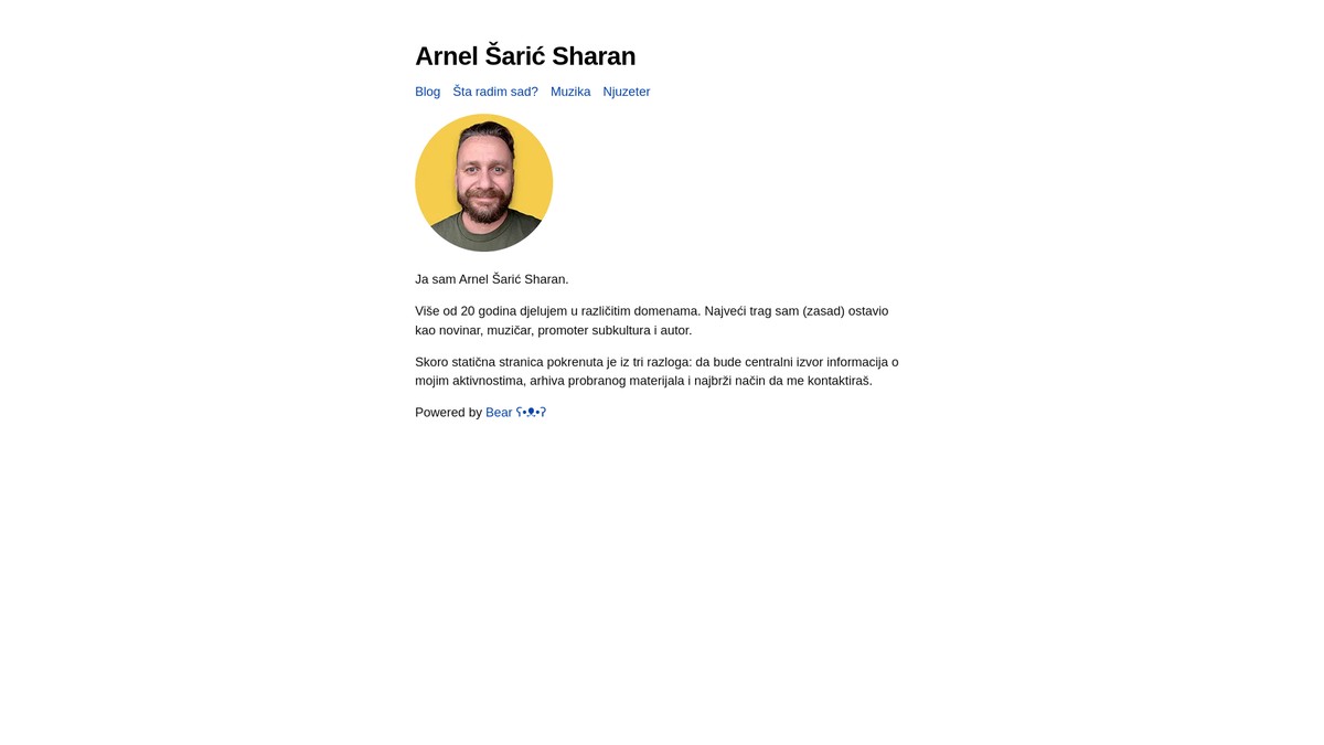 Screenshot of arnelsaric.com