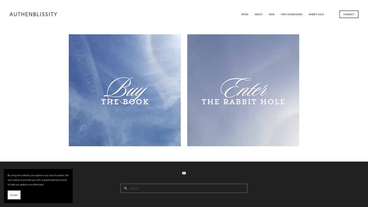 authenblissity.com screenshot