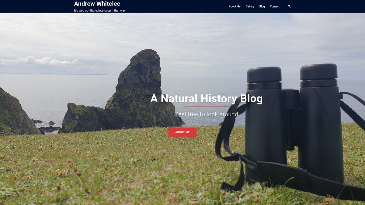 awhitelee.com screenshot