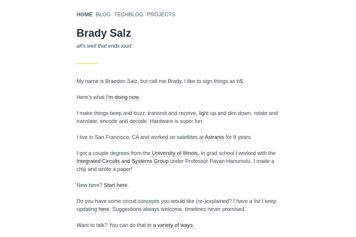 bradysalz.com screenshot