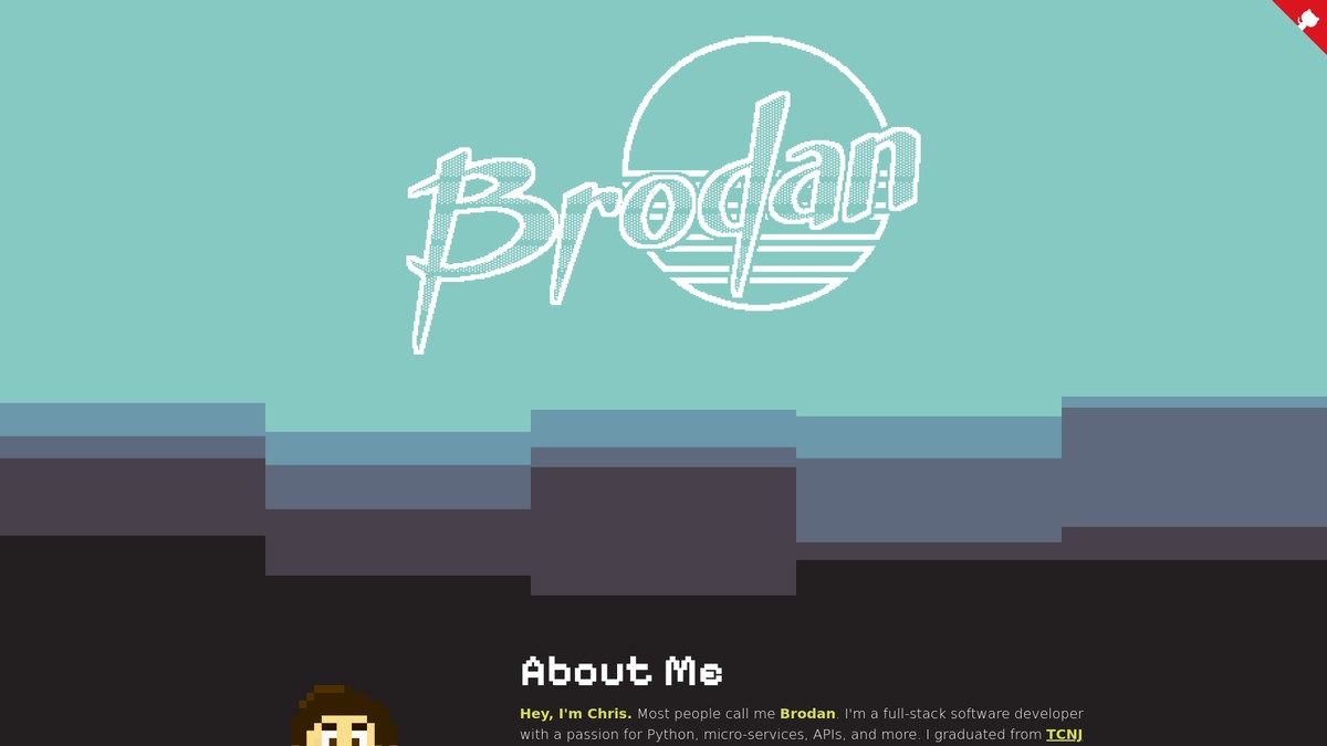 brodan.biz screenshot