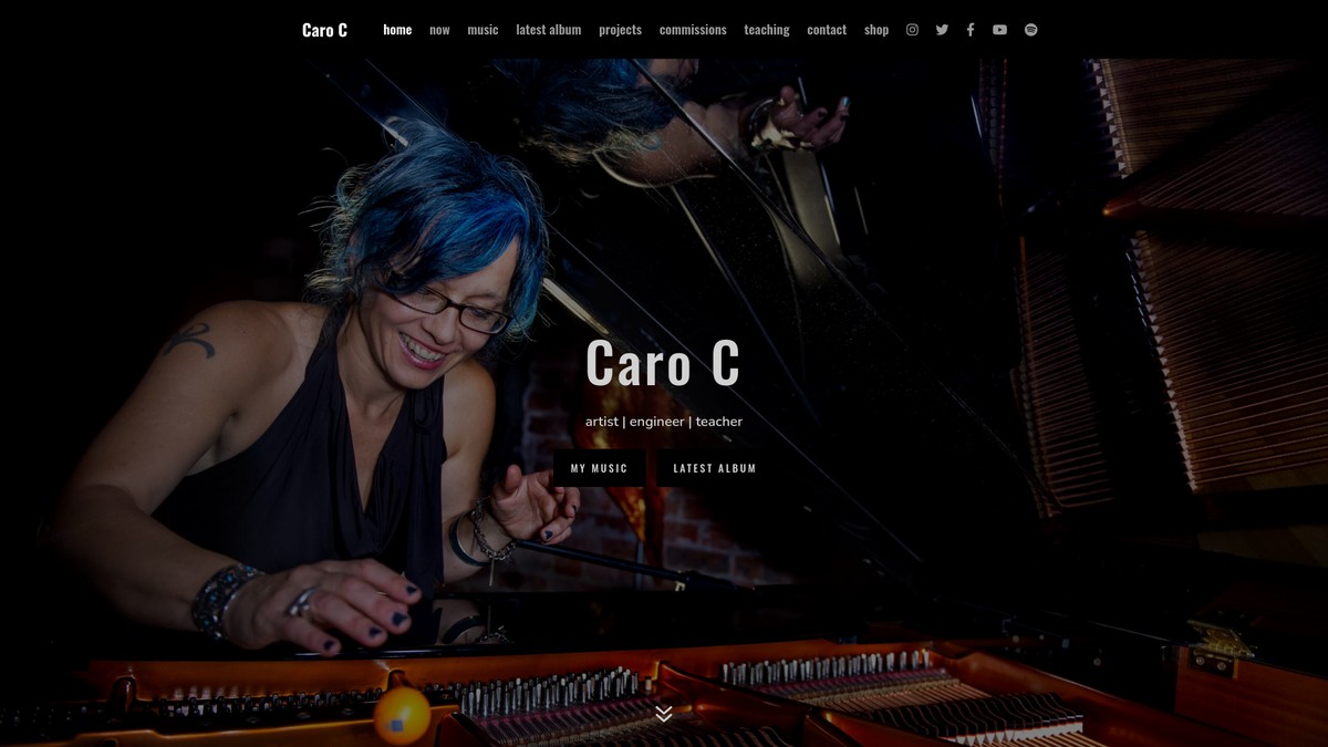 carosnatch.com screenshot