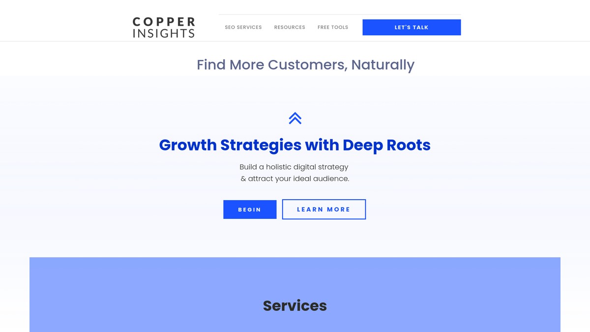 copperinsights.com screenshot