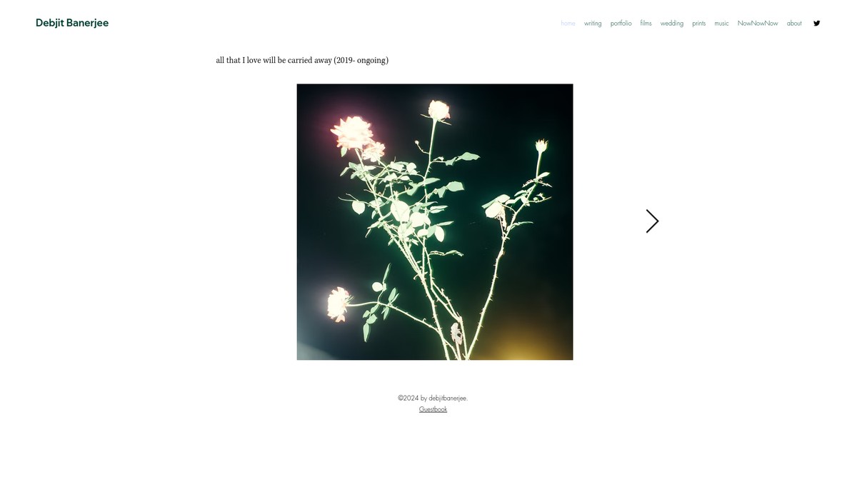 debjitbanerjee.com screenshot