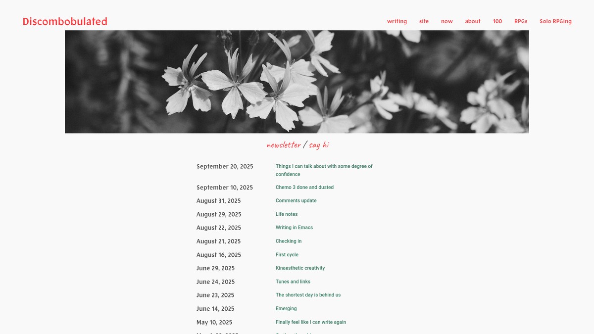 discombobulated.co.nz screenshot