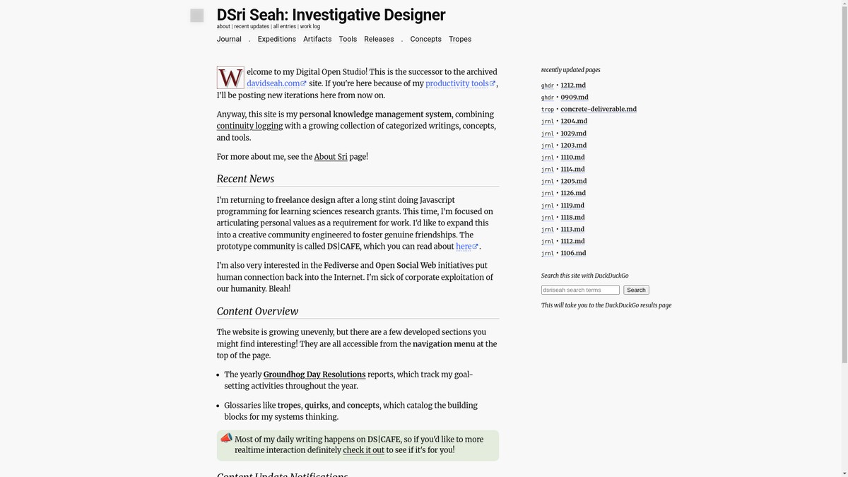 dsriseah.com screenshot