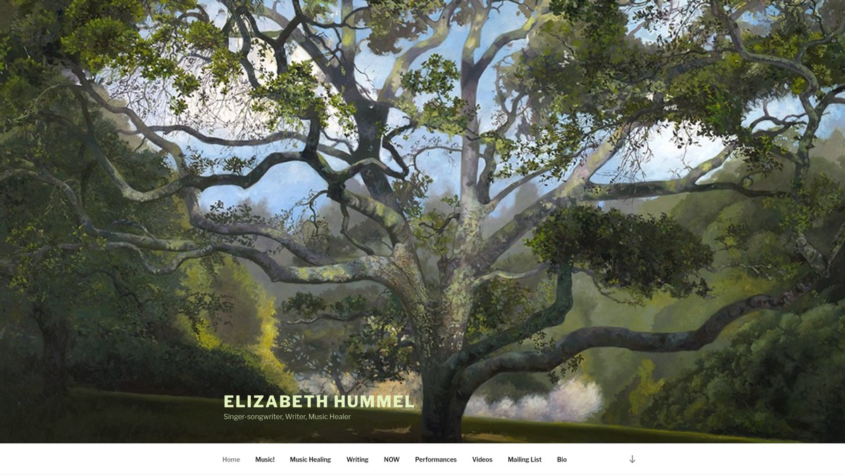 elizabethhummel.com screenshot