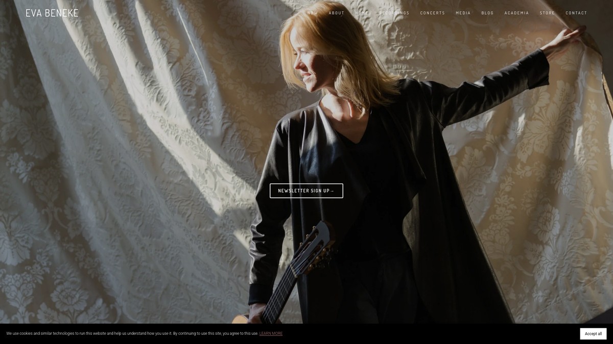Screenshot of evabeneke.com