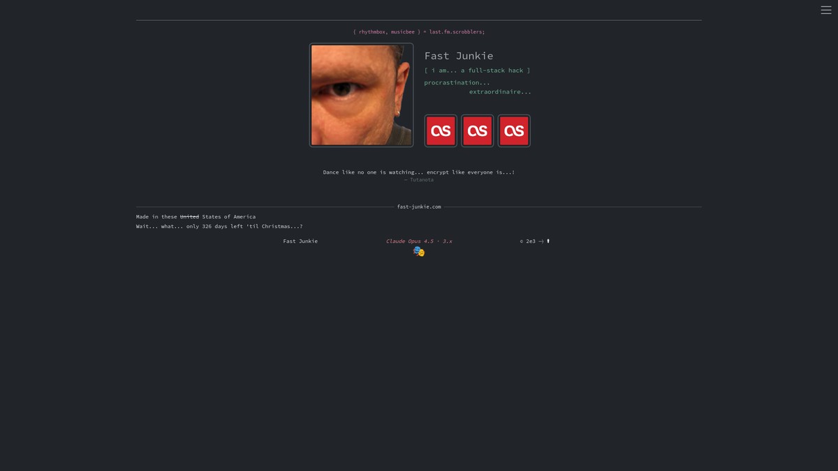 fast-junkie.com screenshot