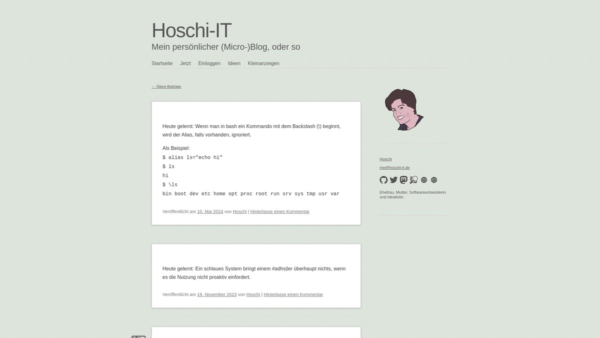 hoschi-it.de screenshot