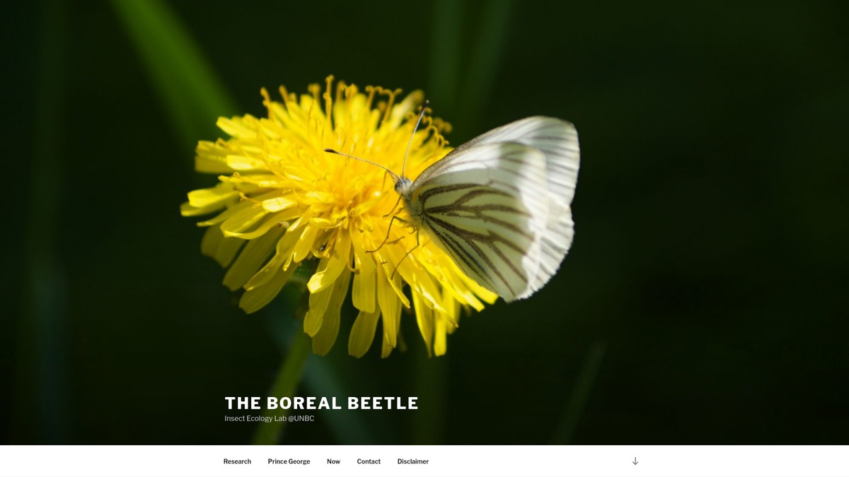 huber.opened.ca screenshot