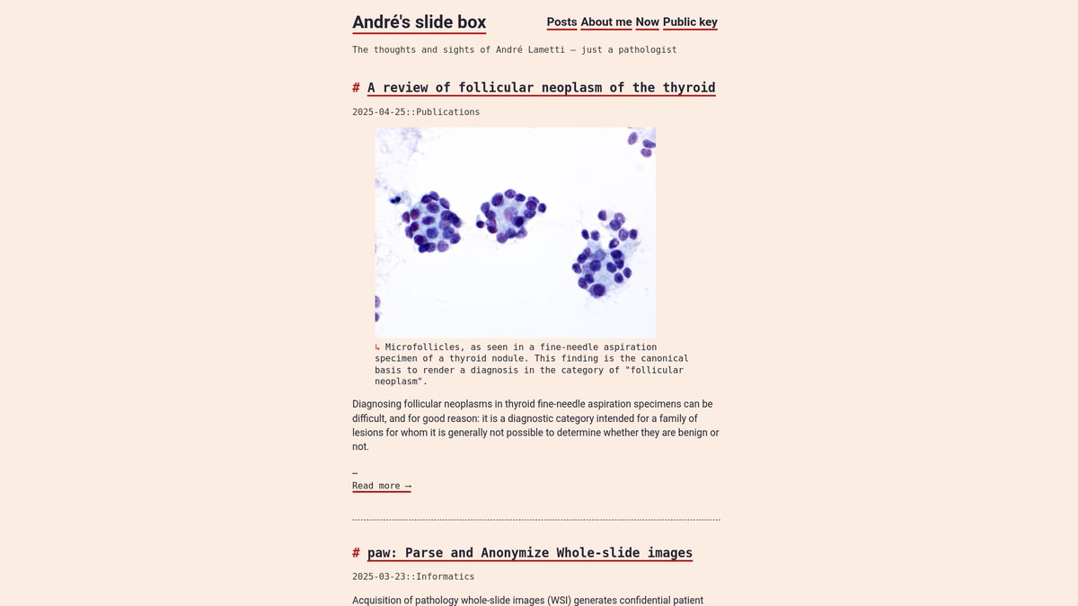 justapa.thologi.st screenshot