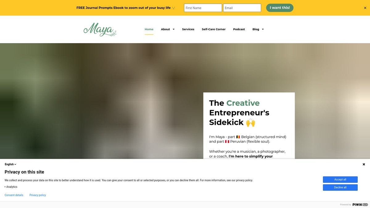 Screenshot of mayalombarts.com