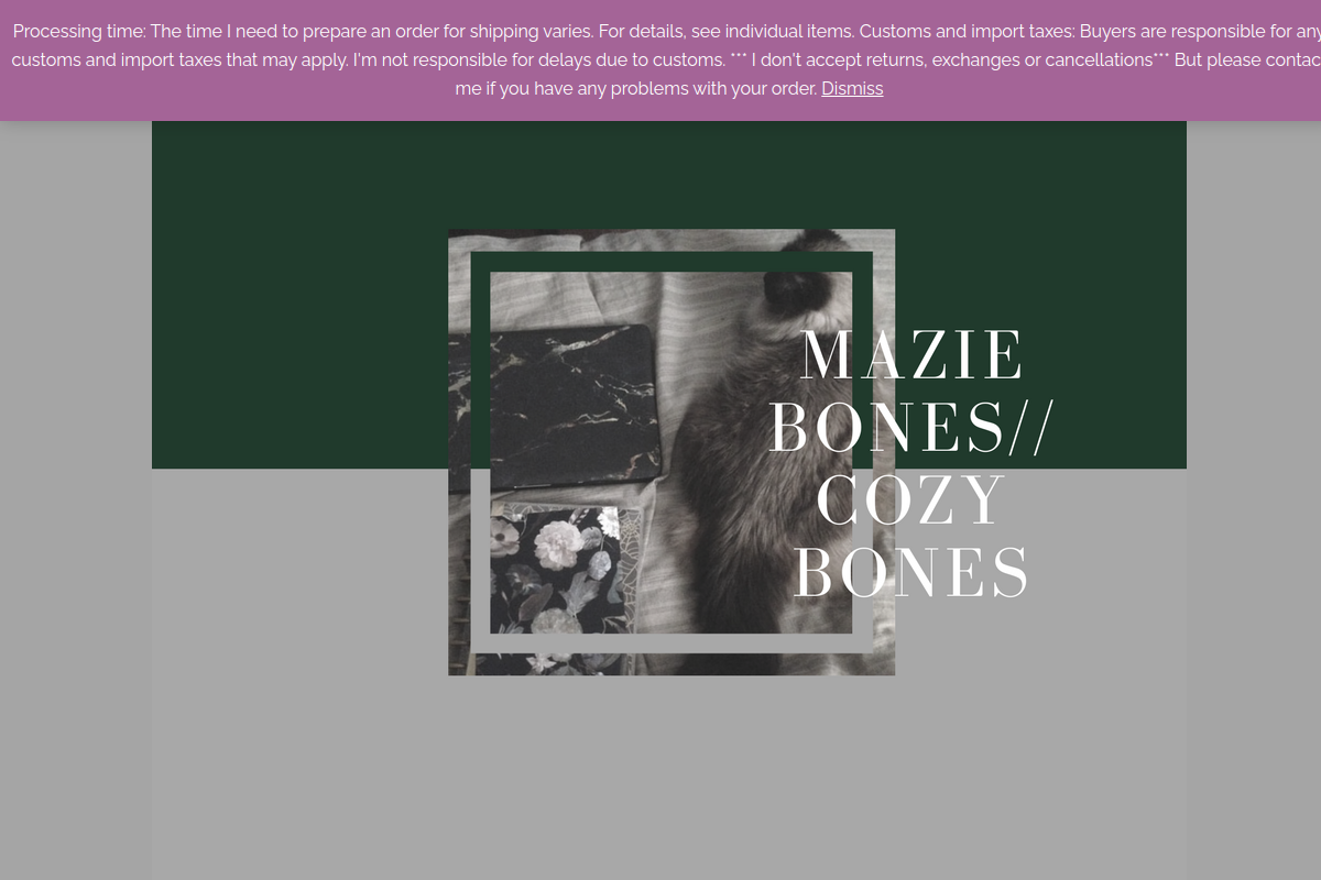 maziebones.com screenshot