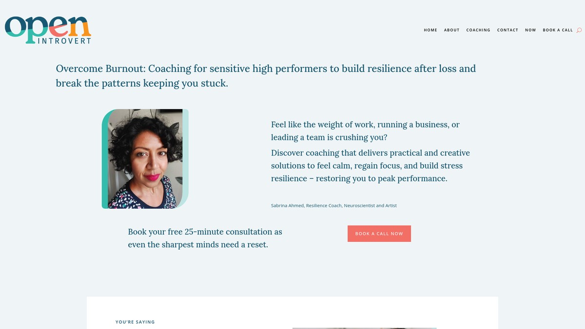 openintrovert.com screenshot