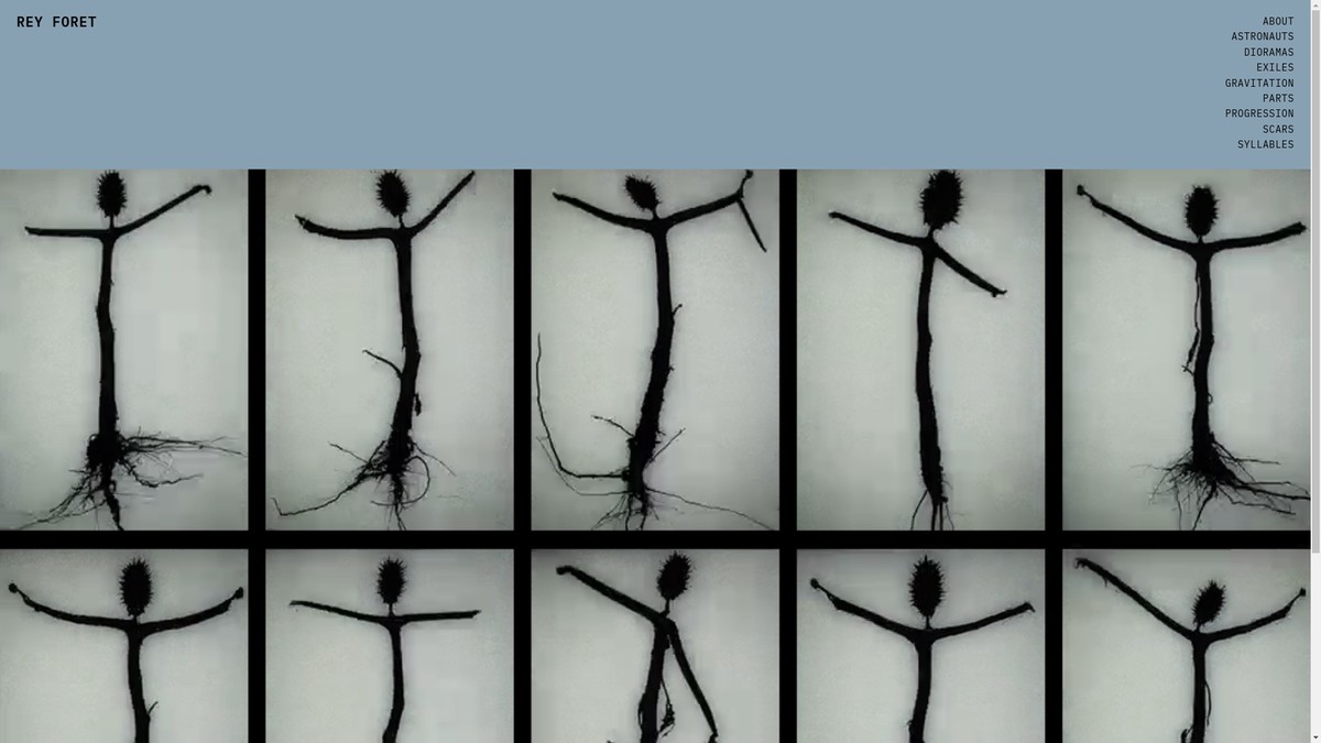 reyforet.com screenshot