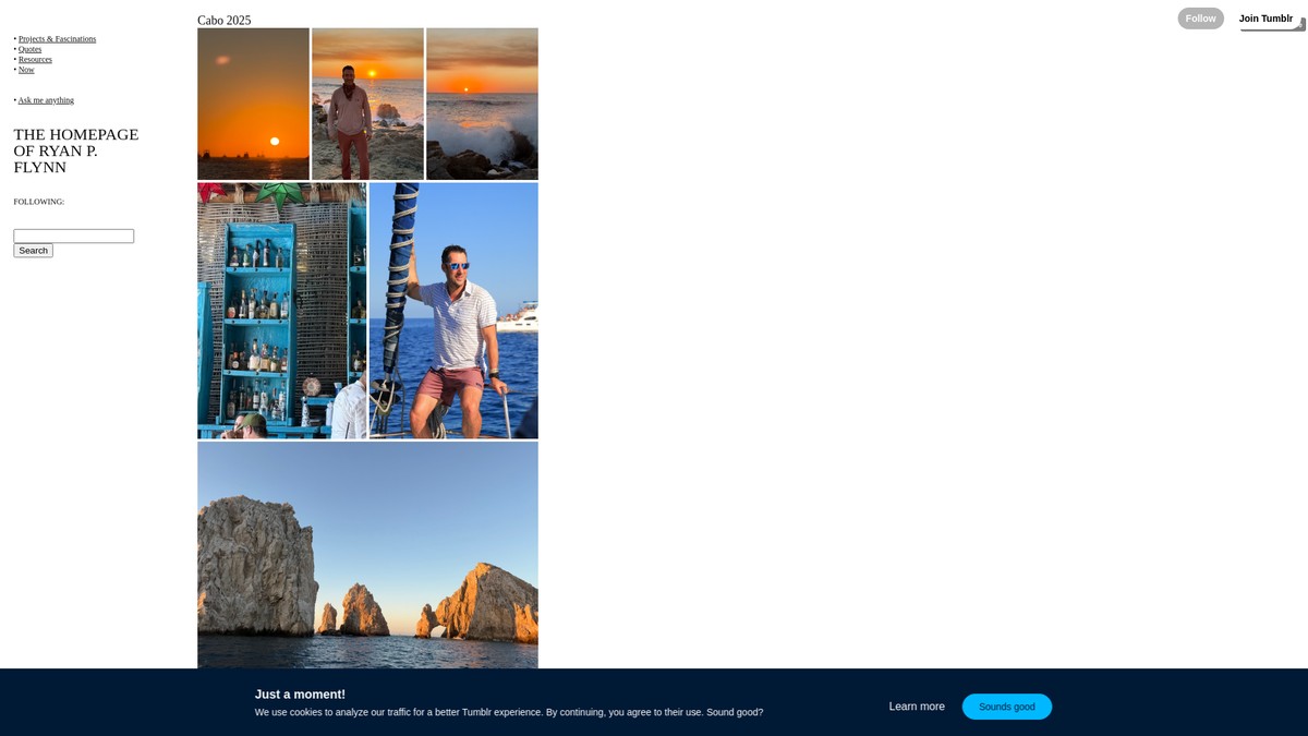 rpflynn.com screenshot