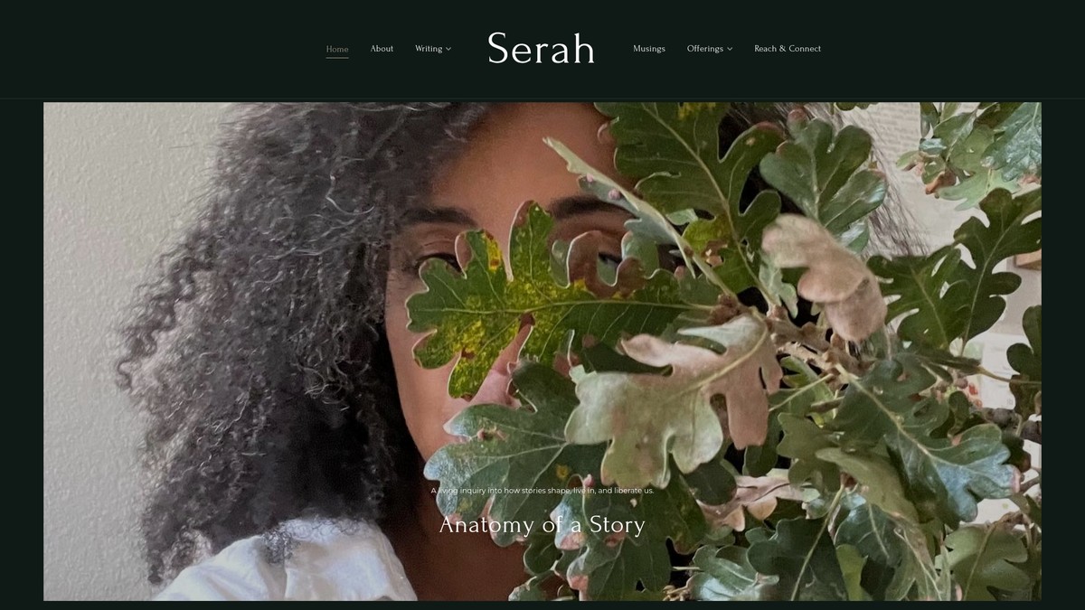 serahbfredericks.com screenshot
