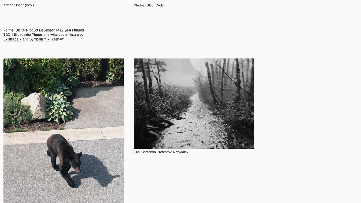staydecent.ca screenshot