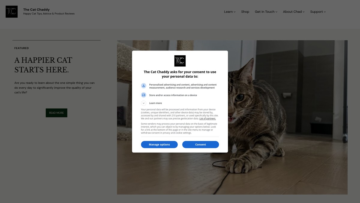 Screenshot of thecatchaddy.com