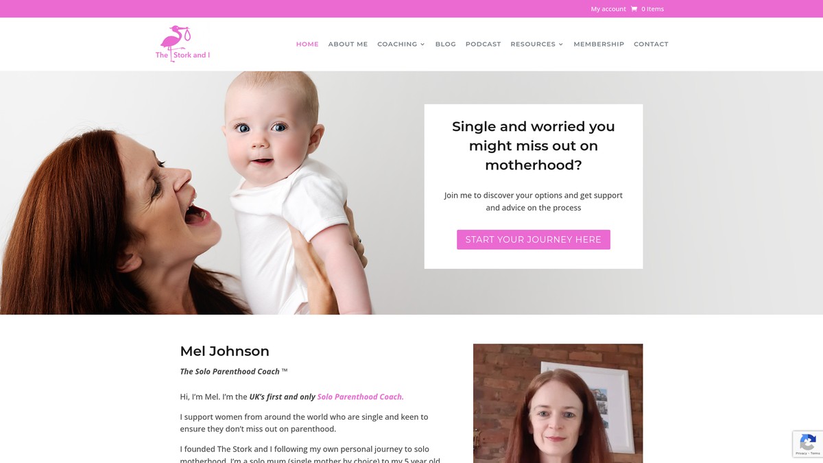 thestorkandi.com screenshot