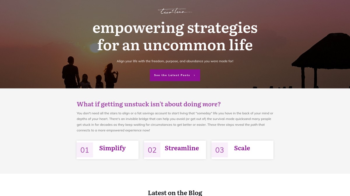 ticoandtina.com screenshot