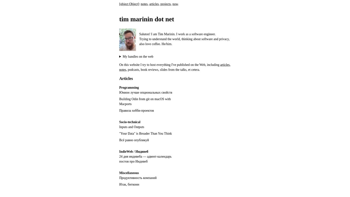 timmarinin.net screenshot