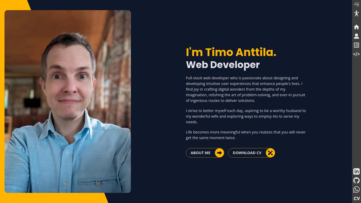 timoanttila.com screenshot