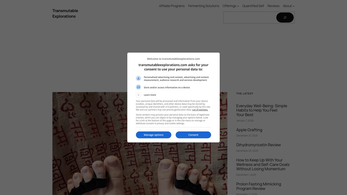 transmutableexplorations.com screenshot
