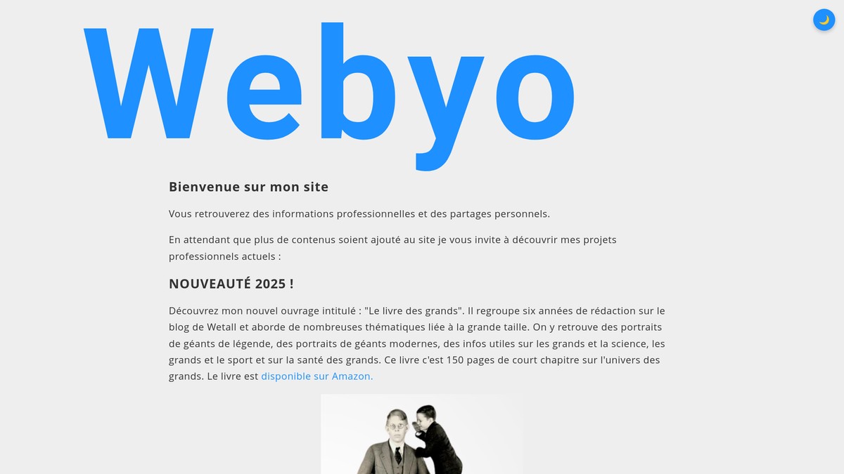 webyo.fr screenshot
