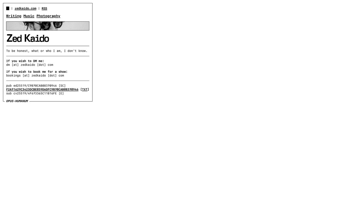 zedkaido.com screenshot